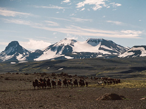randonnée à cheval Islande Centre photo 2