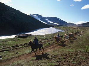 randonnée à cheval Islande Centre photo 5