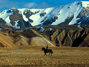 randonnée à cheval islande centre entre les pistes