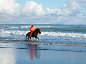 randonnée à cheval Islande Sud photo 1
