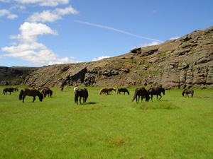 randonnée à cheval Islande Sud photo 4
