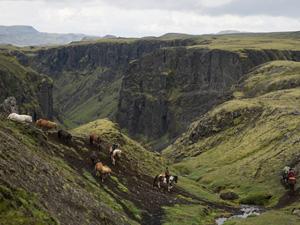 randonnée à cheval Islande Sud-ouest photo 1