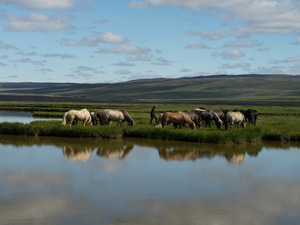 randonnée à cheval Islande Sud-ouest photo 2