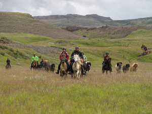 randonnée à cheval Islande Sud-ouest photo 3