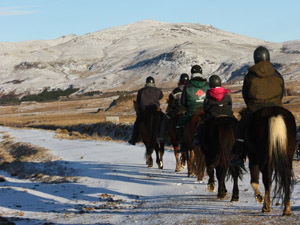 randonnée à cheval Islande Sud photo 2