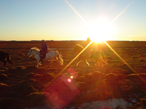 randonnée à cheval Islande Sud photo 4