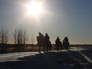 randonnée à cheval Islande Sud photo 5