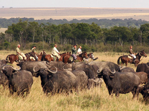 randonnée à cheval Kenya Sud-Ouest photo 3