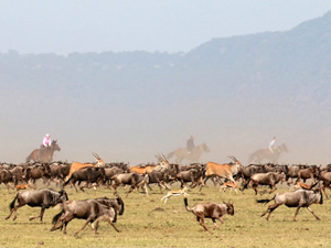 randonnée à cheval Kenya Sud-Ouest photo 5