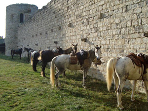 randonnée à cheval France Occitanie photo 5