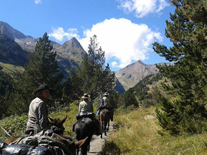 randonnée à cheval France Occitanie photo 2