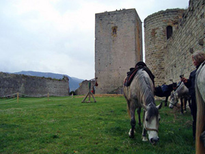 randonnée à cheval France Occitanie photo 5