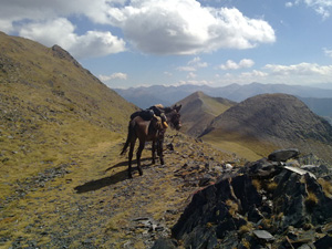 randonnée à cheval France Occitanie photo 2