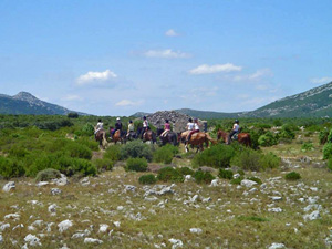 randonnée à cheval France Occitanie photo 4