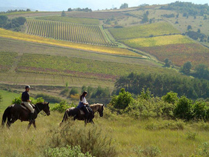 randonnée à cheval France Occitanie photo 3