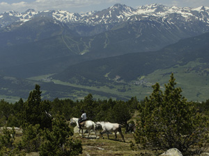 randonnée à cheval France Occitanie photo 2