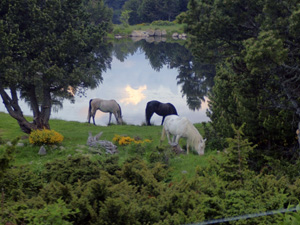 randonnée à cheval France Occitanie photo 5