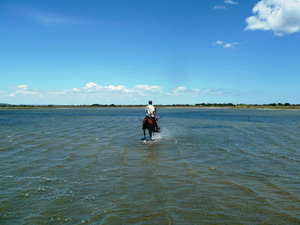 randonnée à cheval France Occitanie photo 3