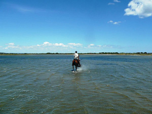 randonnée à cheval France Occitanie photo 3