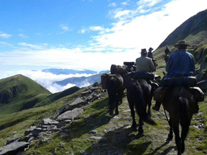 randonnée à cheval France Occitanie photo 3