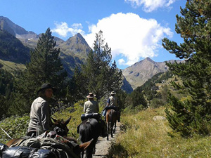 randonnée à cheval France Occitanie photo 6