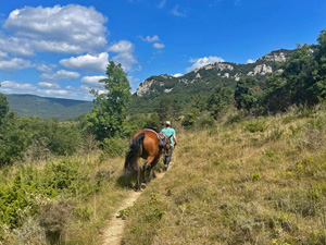 randonnée à cheval France Occitanie photo 4