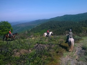 randonnée à cheval France Occitanie photo 2