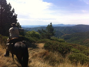 randonnée à cheval France Occitanie photo 3