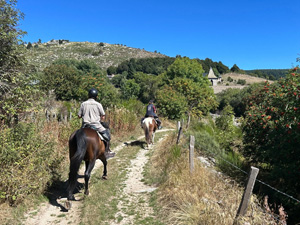 randonnée à cheval France Occitanie photo 2