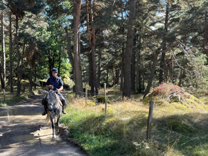 randonnée à cheval France Occitanie photo 3