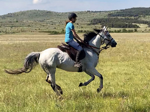 randonnée à cheval France Occitanie photo 1