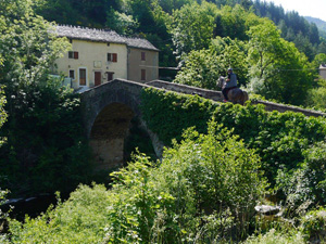 randonnée à cheval France Occitanie photo 6