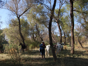 randonnée à cheval Mexique Guanajuato photo 6