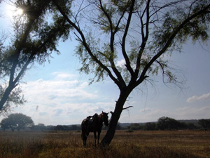 randonnée à cheval Mexique Guanajuato photo 4