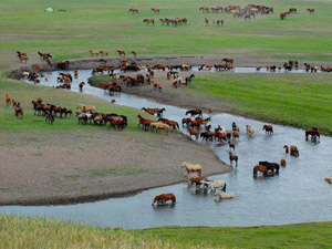 randonnée à cheval Mongolie Arkhangaï photo 8