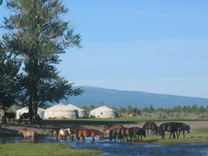 randonnée à cheval Mongolie Nord photo 5