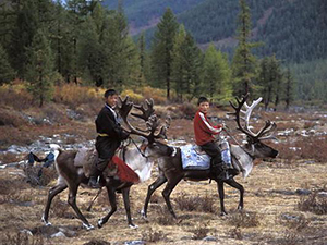 randonnée à cheval Mongolie Nord photo 6