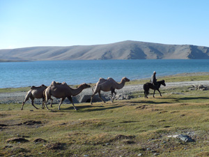randonnée à cheval Mongolie Altaï photo 4