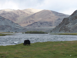 randonnée à cheval Mongolie Altaï photo 5