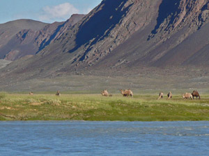 randonnée à cheval Mongolie Altaï photo 8