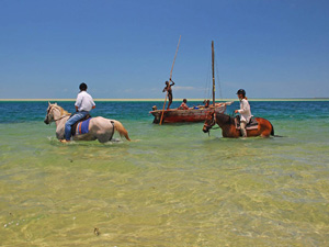 randonnée à cheval Mozambique Inhambane photo 1