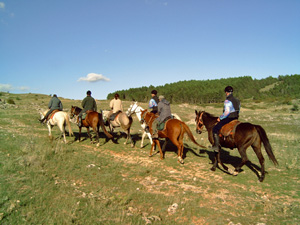 randonnée à cheval France Occitanie photo 4