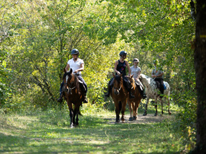 randonnée à cheval France Occitanie photo 2