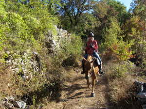 randonnée à cheval France Occitanie photo 3