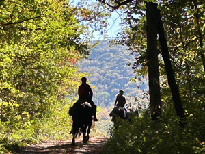 randonnée à cheval France Occitanie photo 3