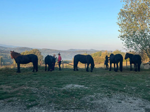 randonnée à cheval France Occitanie photo 4