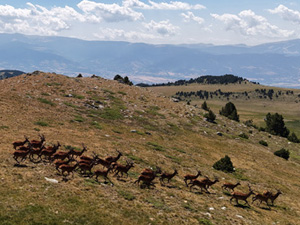 randonnée à cheval France Occitanie photo 4
