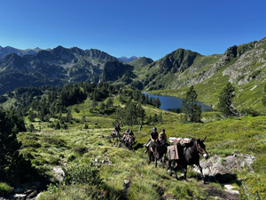 randonnée à cheval France Occitanie photo 1