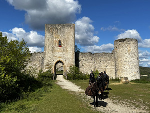 randonnée à cheval France Occitanie photo 1