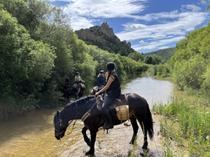 randonnée à cheval France Occitanie photo 3